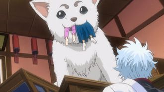 Episode 45 Walk Your Dog at an Appropriate Speed