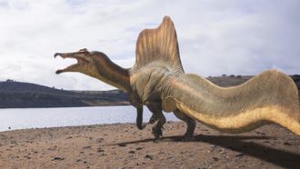 Episode 2 The River Dragon