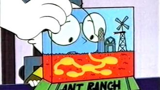 Episode 6 Ants