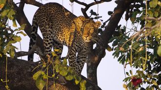 Episode 2 Storm's Retreat