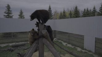 Episode 6 Goodbye Campers