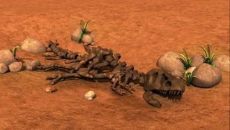 Episode 32 Fossil Fred