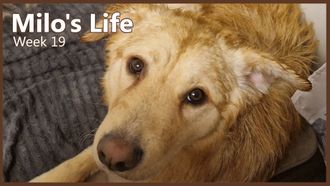 Episode 19 Finally Some Alone Time | Week 19