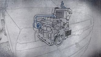 Episode 1 Free Willy’s