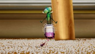 Episode 31 So Thin Skinned