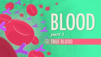 Episode 29 Blood, Part 1 - True Blood