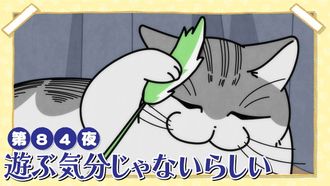 Episode 84 Night 84: Doesn't Seem in the Mood to Play