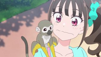 Episode 32 Favorite Animal at the Zoo