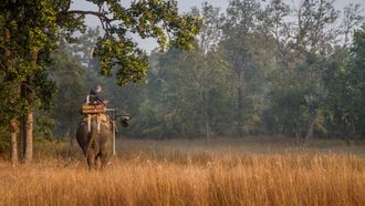 Episode 3 Hide and Seek (Forests)