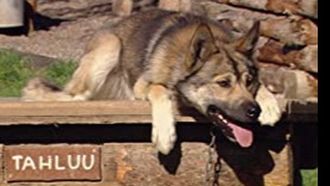 Episode 5 Secrets of Denali National Park