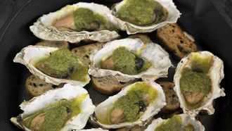 Episode 4 Holiday at the Ranch