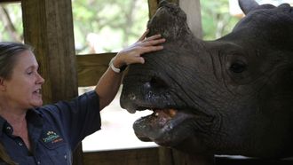 Episode 3 You're the Rhino I Want!
