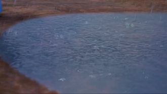 Episode 23 Leave It To Beavers