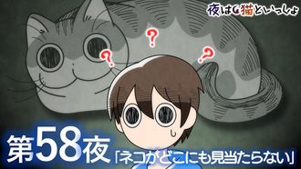 Episode 58 Night 58: A Cat Who's Nowhere to be Found