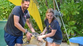 Episode 3 Do You Have Room for a Turtle?