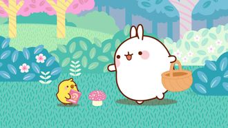 Episode 18 The Forest