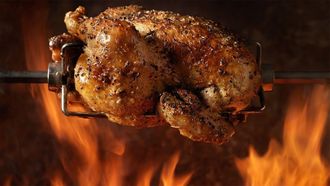 Episode 2 Carnivores