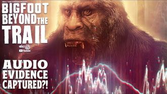 Episode 23 Bigfoot Audio Evidence Captured?! (Audio Analysis Video)