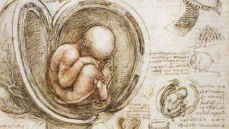 Episode 2 Paradise Regained