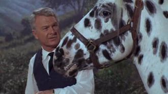 Episode 29 Horse? What Horse?