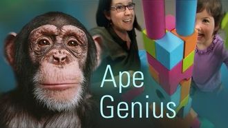 Episode 12 Ape Genius