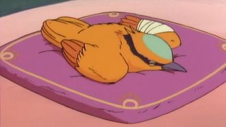 Episode 64 Moomin and the Birds