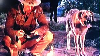 Episode 15 Hondo And The Gladiators