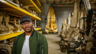 Episode 2 Top Predator