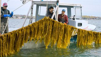 Episode 1 Beyond the Now