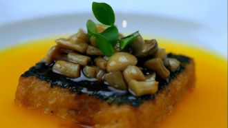 Episode 3 Inspiration for Change