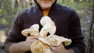 Episode 7 Matsutake & Wild Turkey