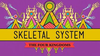 Episode 30 The Skeletal System: It's ALIVE!