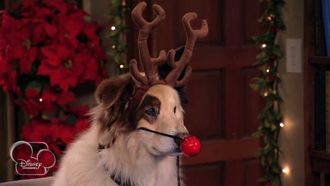 Episode 6 Bark! the Herald Angels Sing