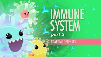 Episode 46 Immune System, Part 2