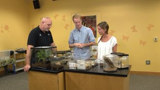 Episode 9 Buggin' Out