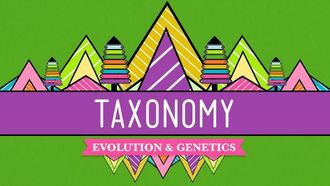 Episode 19 Taxonomy: Life's Filing System
