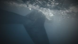 Episode 6 Primal Fears