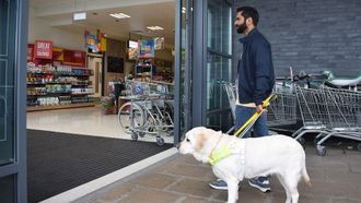 Episode 8 Mission: Birthday Cake