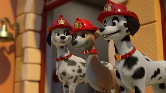 Episode 8 Firedogs to the Rescue! / Pup-Up Playground