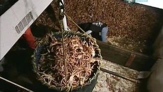 Episode 10 The Final Run