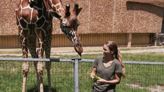 Episode 5 Leafy Lunchtime with Giraffes