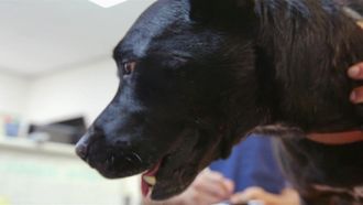 Episode 3 A Nutty Situation