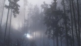 Episode 8 The Rendlesham Forest Incident