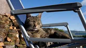 Episode 4 Catch of the Day