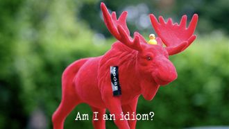 Episode 8 Am I an Idiom?