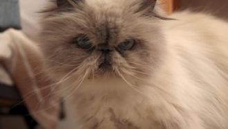 Episode 1 Oh Mia Oh My