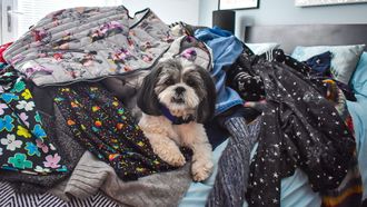 Episode 4 Mission: Party Time