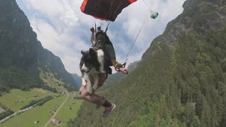 Episode 2 Intelligence