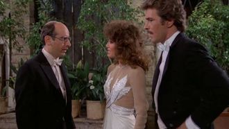Episode 15 Whose Party Is It Anyway?