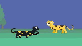 Episode 6 Fire Salamander